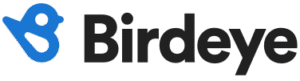 Birdeye logo